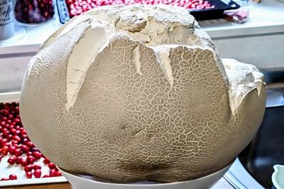 calvatia-gigantea1