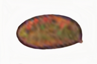 Inocybe alluvionis