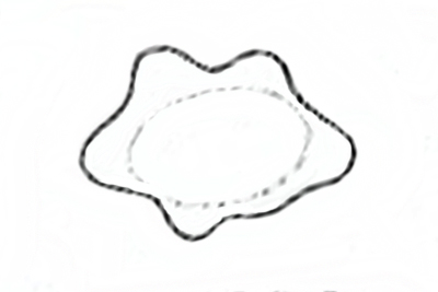Inocybe caprimulgi