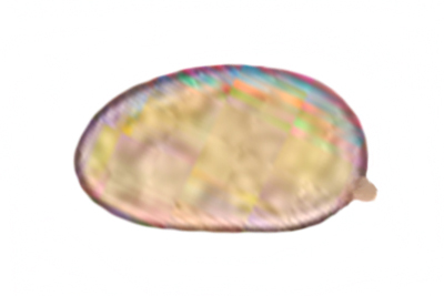 Mallocybe terrigena