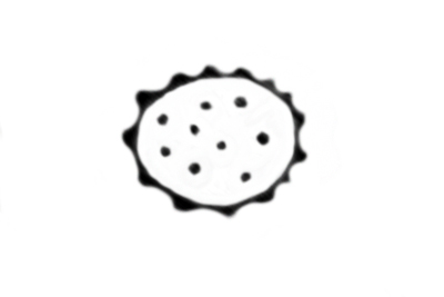 Scytinostromella heterogenea