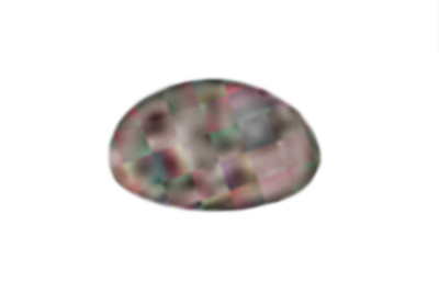 Stropharia albonitens