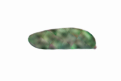 Trichaptum fuscoviolaceum