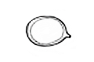 Tricholoma gausapatum