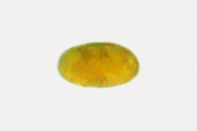 Xylobolus frustulatus